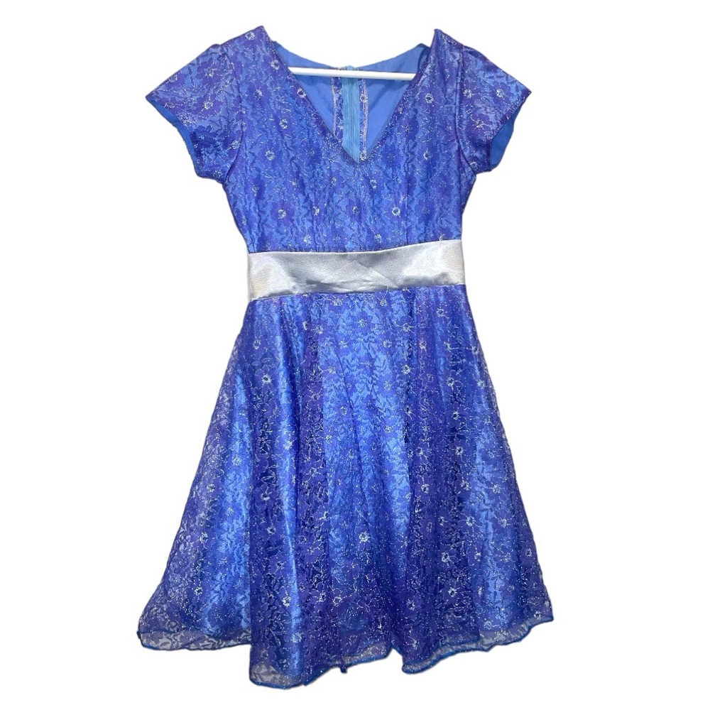 Blue Floral Princess Party / Halloween Dress